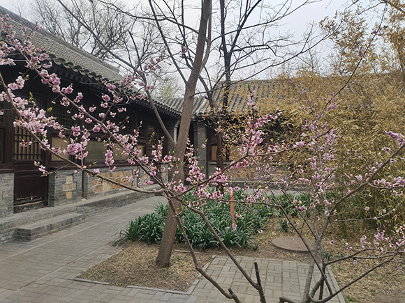 老北京四合院