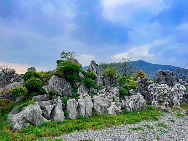 園林假山石